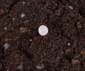 Изображение товара 1056352