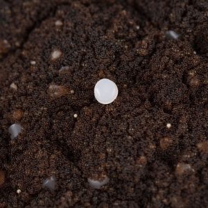 Изображение товара 1056352