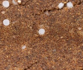 Изображение товара 1056351