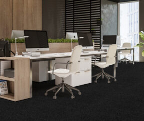 Изображение товара 1073139