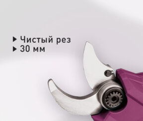 Изображение товара 1019378