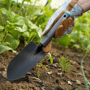 Изображение товара 1132889