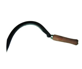 Изображение товара 1054321