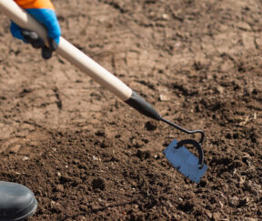 Изображение товара 983726