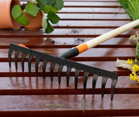 Изображение товара 983932