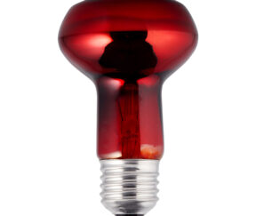 Изображение товара 987896