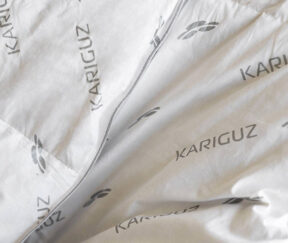 Изображение товара 1030388