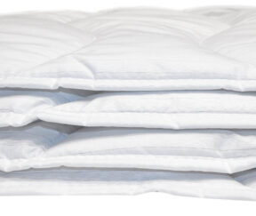 Изображение товара 1030383