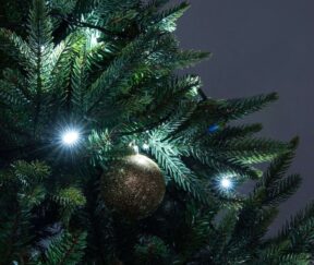 Изображение товара 1049024