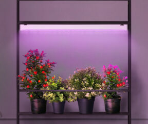 Изображение товара 987909