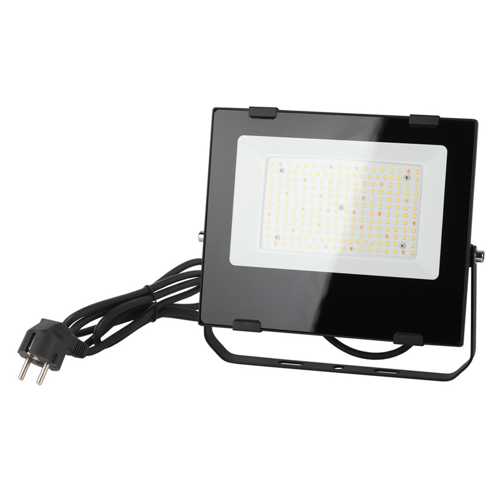 original-1000x1000-fit-31577.jpg Изображение товара 987906