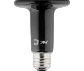 Изображение товара 987899