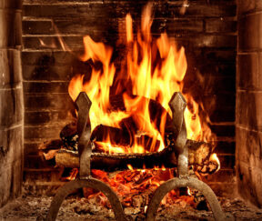 Изображение товара 1016286