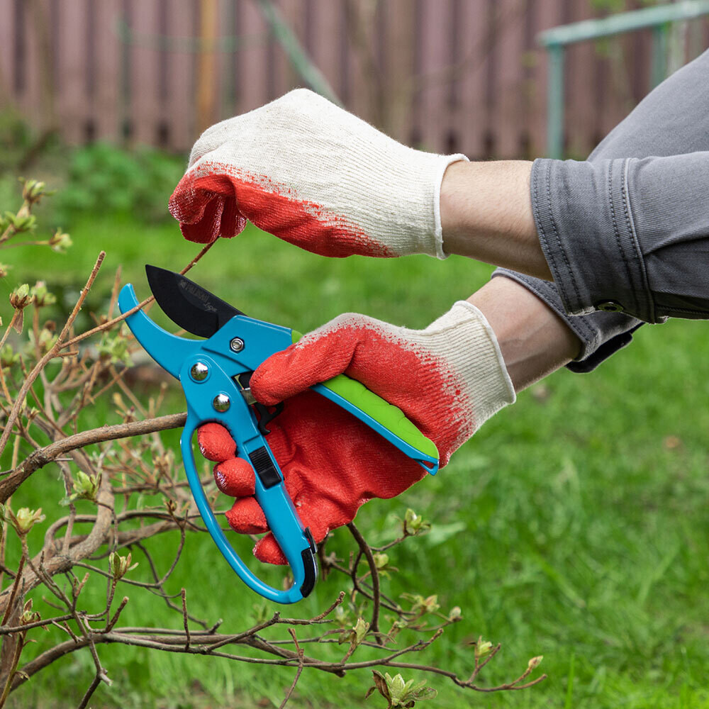 original-1000x1000-fit-4329.jpg Изображение товара 127181