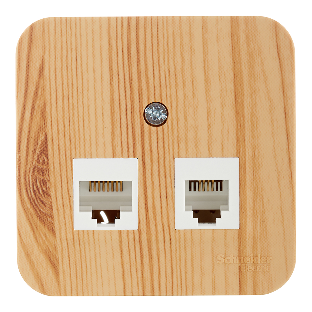 original-11052.jpg Розетка компьютерная Systeme Electric Blanca накладная ясень 2хRJ45 (BLNIA045455) — изображение 1