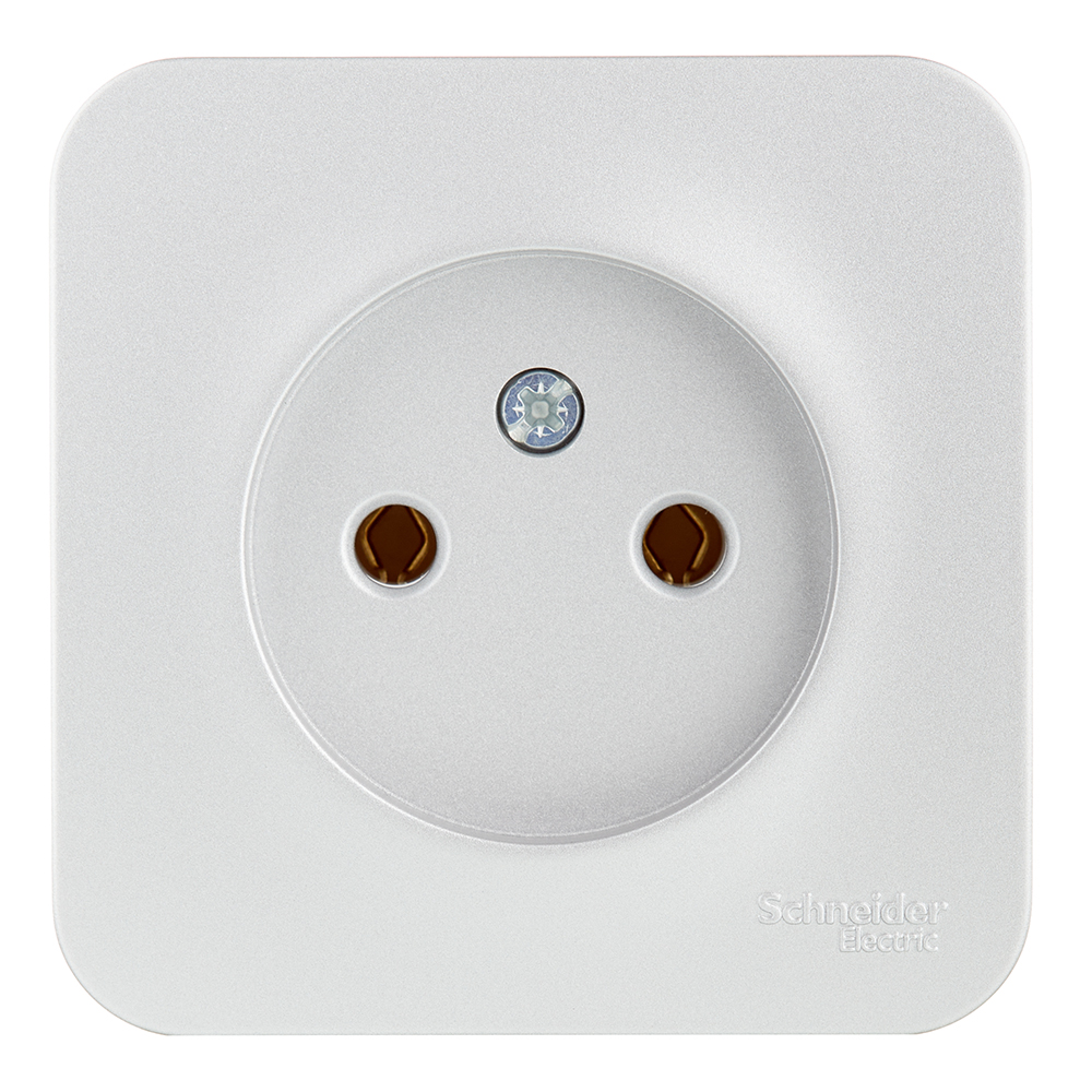 original-11138.jpg Розетка Systeme Electric Blanca накладная алюминий (BLNRA000113) — изображение 1