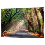 Панель стеновая закаленное стекло для кухни 900х600х4 мм дорога