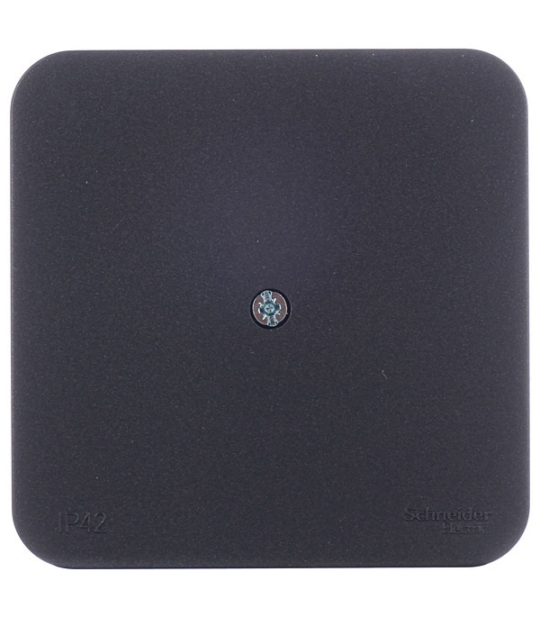 original-11558.jpg Коробка распределительная Systeme Electric Blanca накладная антрацит (BLNRK000016) — изображение 1