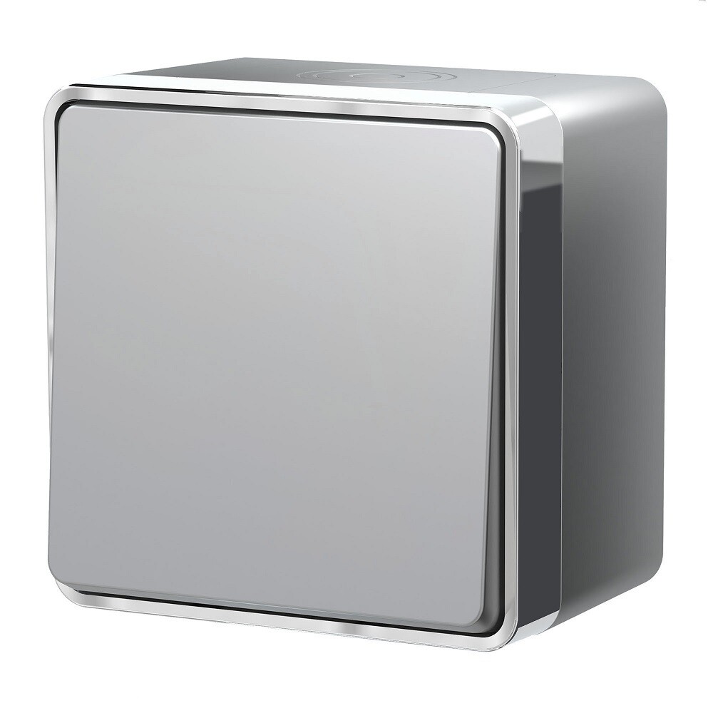 original-13085.jpg Выключатель Werkel Gallant одноклавишный накладной серебряный (a052767) — изображение 1