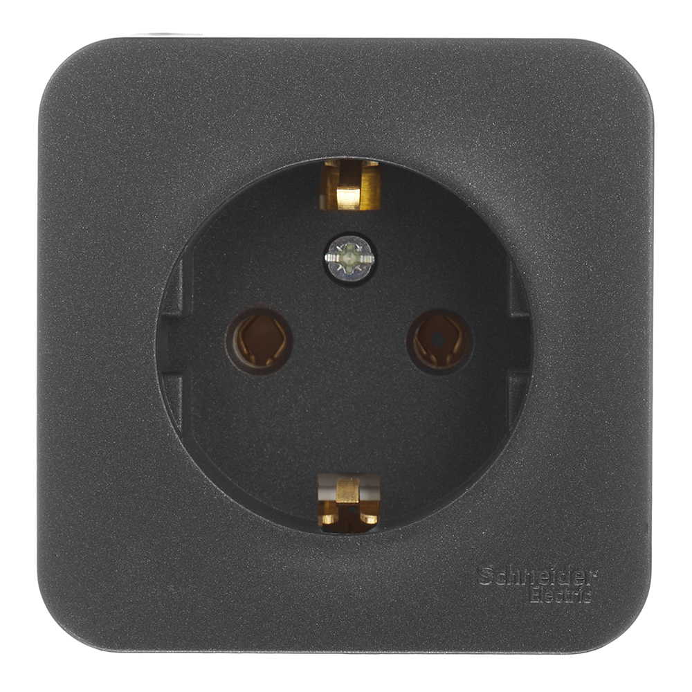 original-13532.jpg Розетка Systeme Electric Blanca накладная антрацит (BLNRA010116) — изображение 1