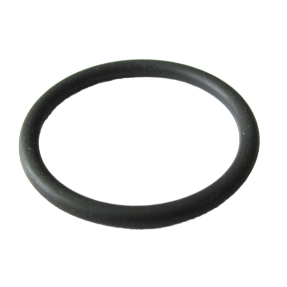 original-17058.jpg Кольцо уплотнительное ПНД Tiemme 20 мм — изображение 1