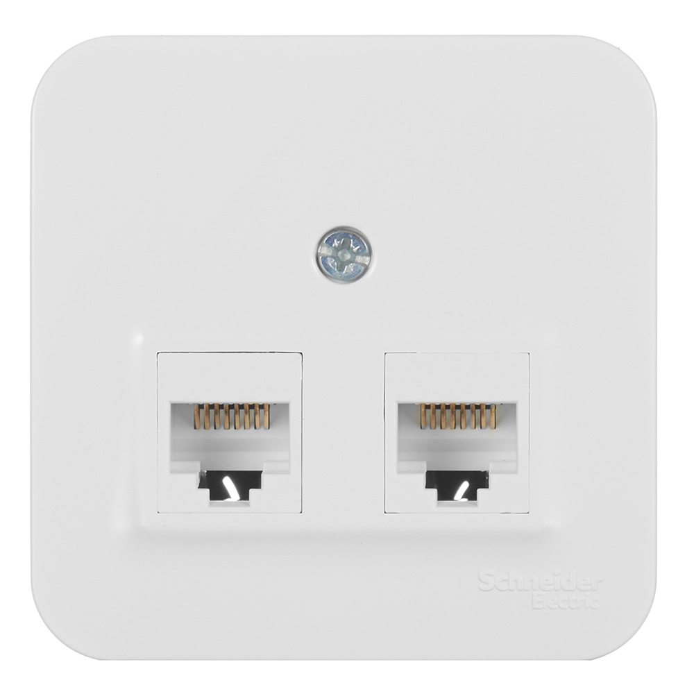 original-20016.jpg Розетка компьютерная Systeme Electric Blanca накладная белая 2хRJ45 (BLNIA045451) — изображение 1