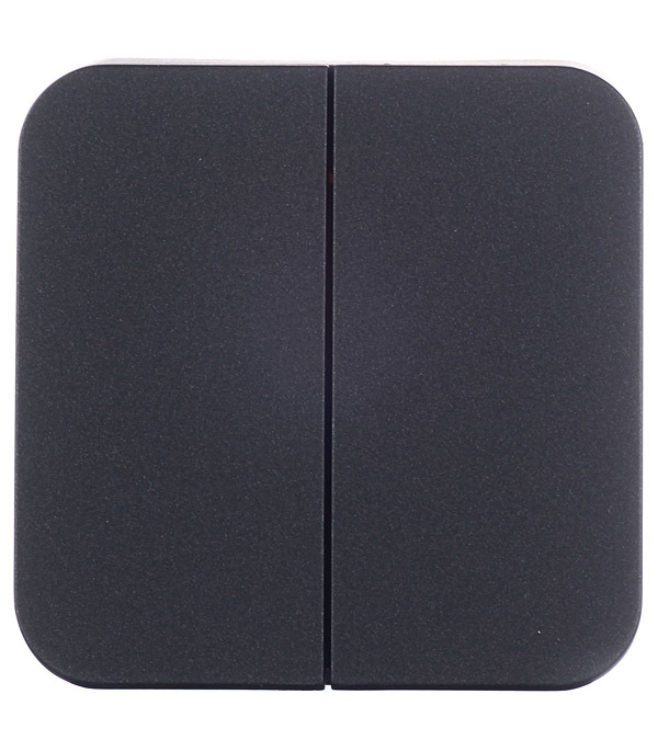 original-20347.jpg Выключатель Systeme Electric Blanca двухклавишный накладной антрацит (BLNVA105016) — изображение 1