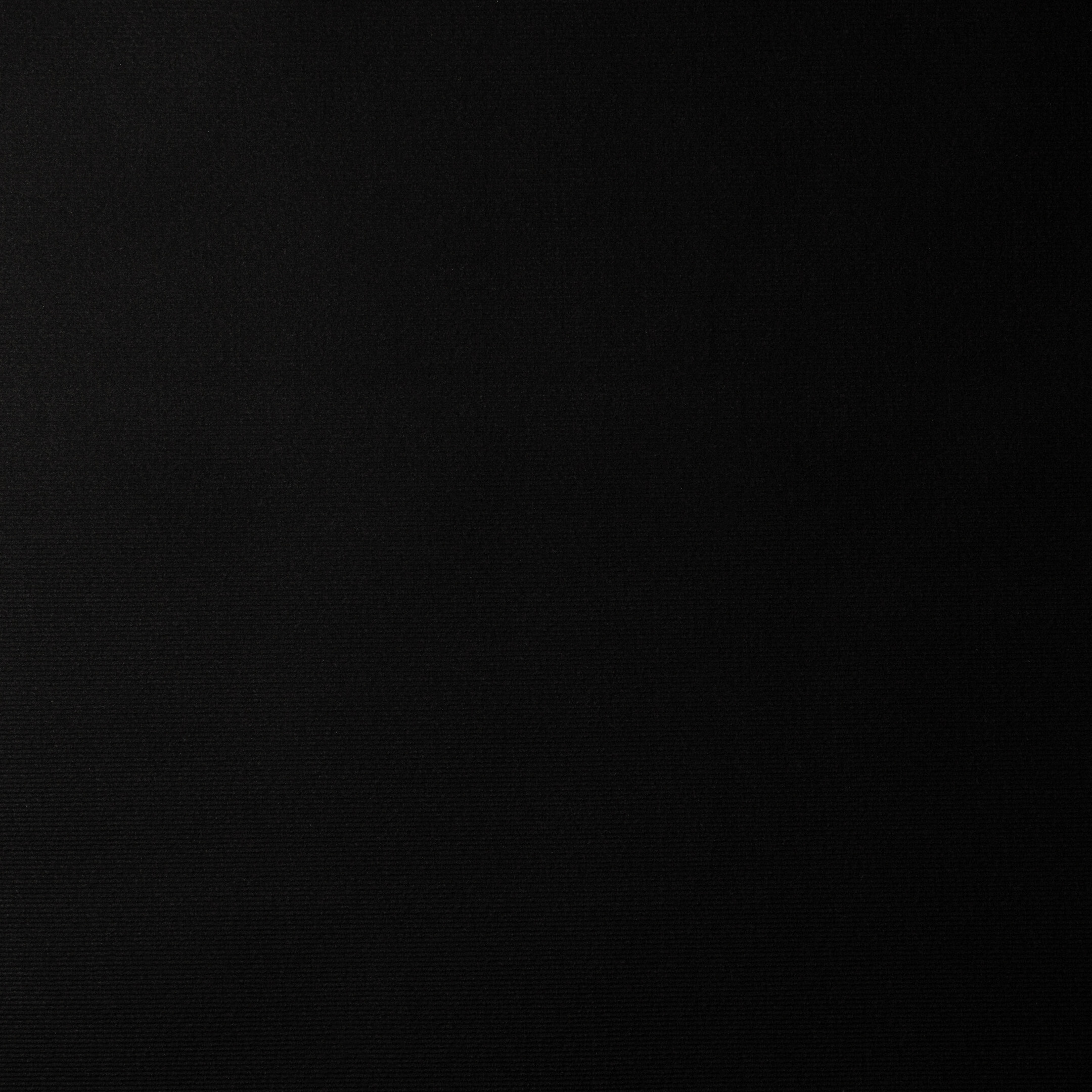 original-21208.jpg Ковролин бытовой ФлорТ Экспо черный 2 м — изображение 1