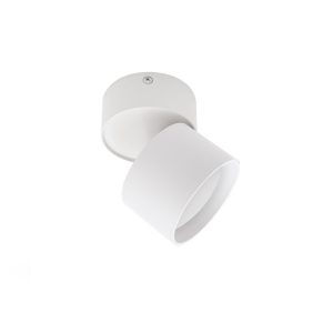 Светильник потолочный IN HOME НПБ GX53 15 Вт белый IP20 (4690612046303)