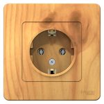 Розетка Systeme Electric Blanca встраиваемая ясень (BLNRS001015)