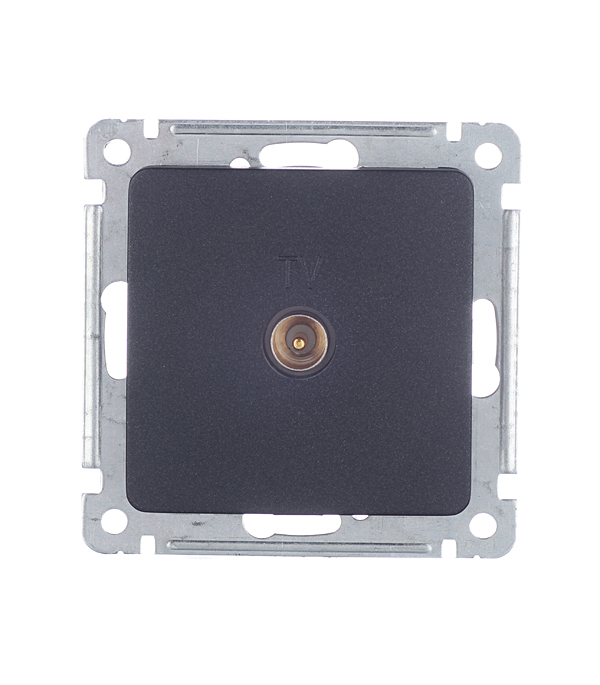 original-26675.jpg Розетка телевизионная Hegel Master встраиваемая черная (РСТВ-401-08) — изображение 1