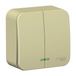 Выключатель Systeme Electric Blanca двухклавишный накладной бежевый с подсветкой (BLNVA105117)