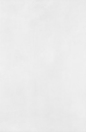 Плитка облицовочная Axima Наварра светло-серая 300x200x7 мм (24 шт.=1,44 кв.м)