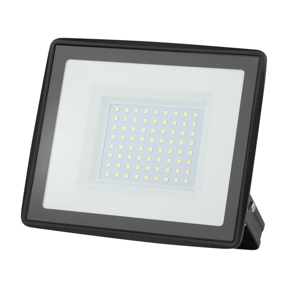 original-33057.jpg Прожектор светодиодный Эра LPR-02 6500К 100 Вт IP65 черный — изображение 1