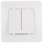 Выключатель Systeme Electric Blanca двухклавишный встраиваемый белый (BLNVS010501)