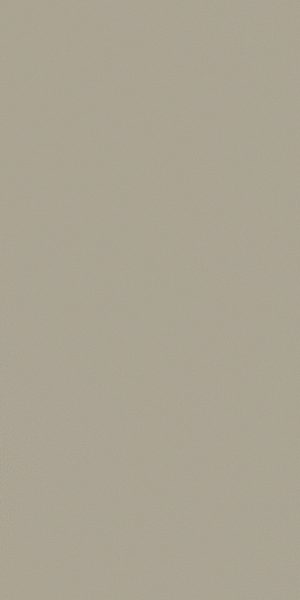 Керамогранит Уральский Гранит Моноколор светло-серый матовый 1200х600х10 мм (3 шт.=2,16 кв.м)