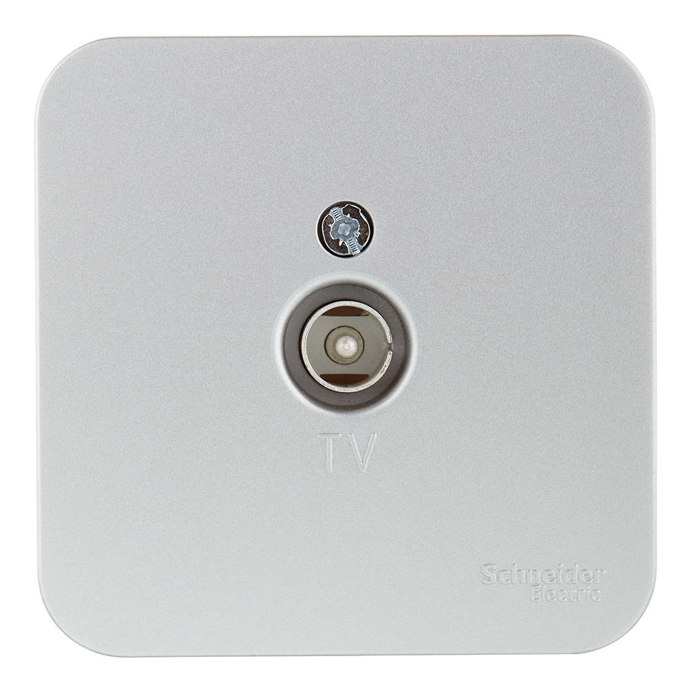original-36075.jpg Розетка телевизионная Systeme Electric Blanca накладная алюминий (BLNTA000013) — изображение 1