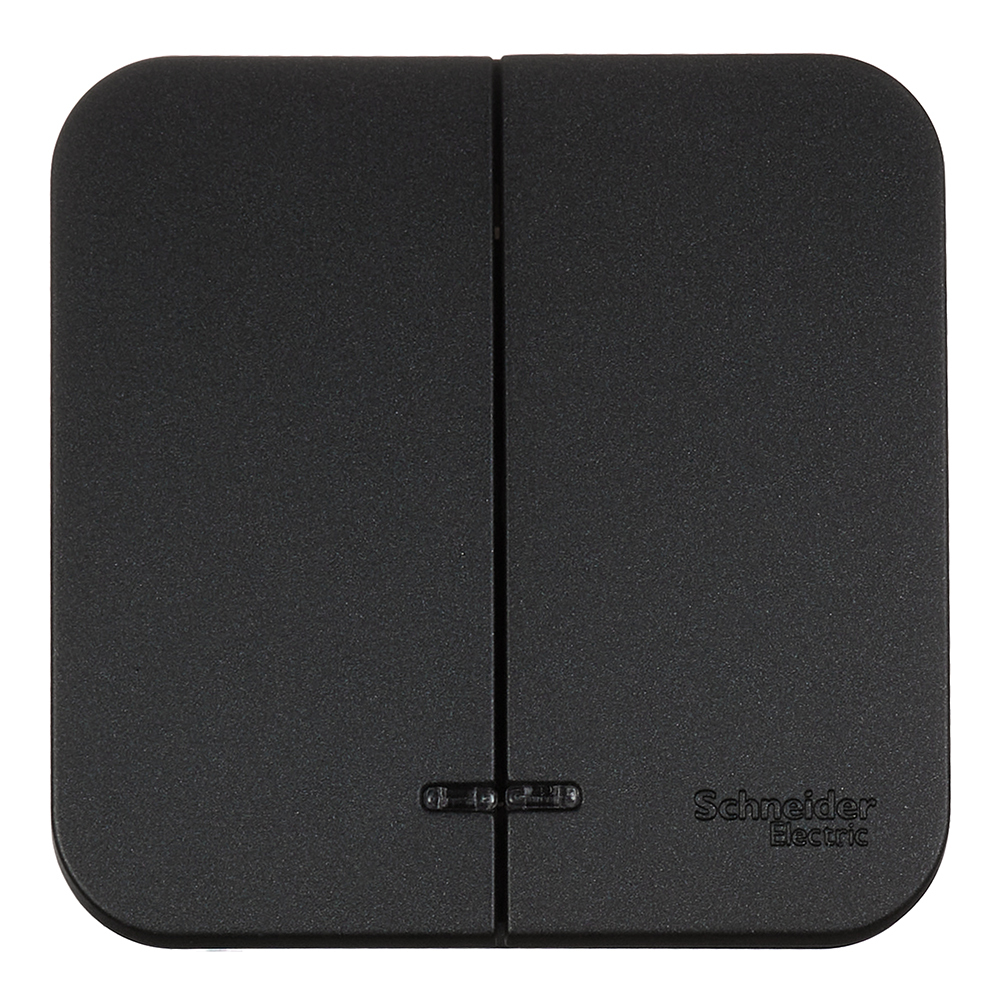 original-5239.jpg Выключатель Systeme Electric Blanca двухклавишный накладной антрацит с подсветкой (BLNVA105116) — изображение 1