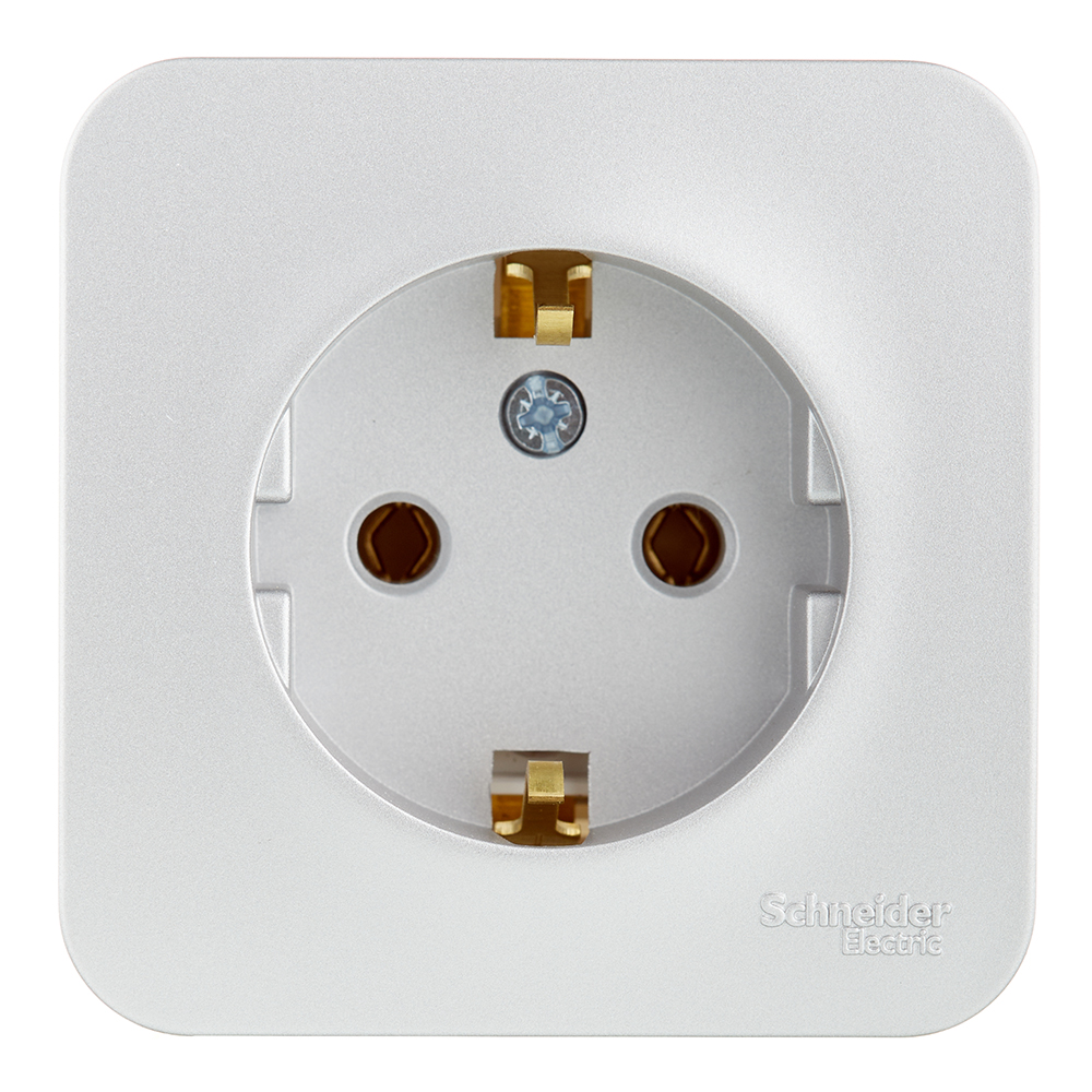 original-5992.jpg Розетка Systeme Electric Blanca накладная алюминий (BLNRA010113) — изображение 1