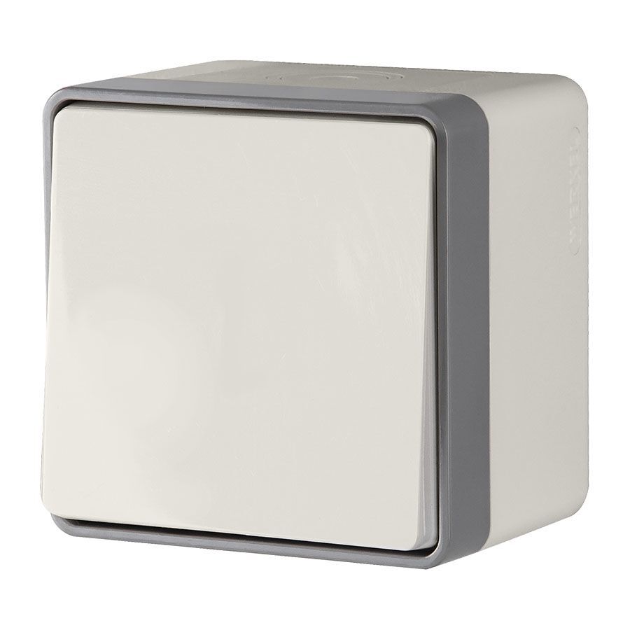 original-5994.jpg Выключатель Werkel Gallant одноклавишный накладной слоновая кость (a051564) — изображение 1