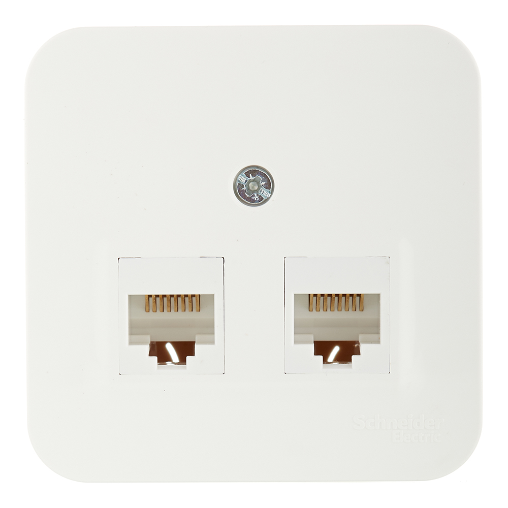 original-6019.jpg Розетка компьютерная Systeme Electric Blanca накладная молочная 2хRJ45 (BLNIA045452) — изображение 1