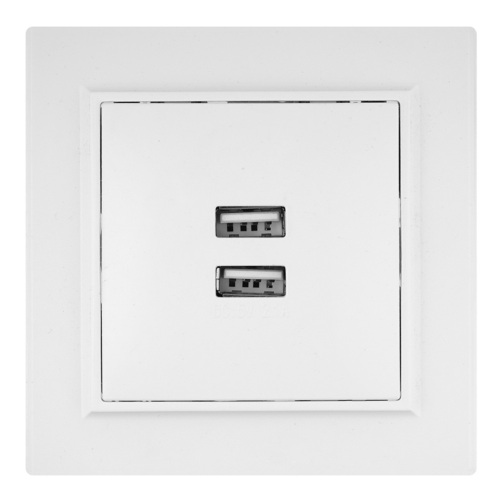 original-6491.jpg Розетка USB EKF Минск встраиваемая белая 2хUSB-А (ERR-2USB-100) — изображение 1
