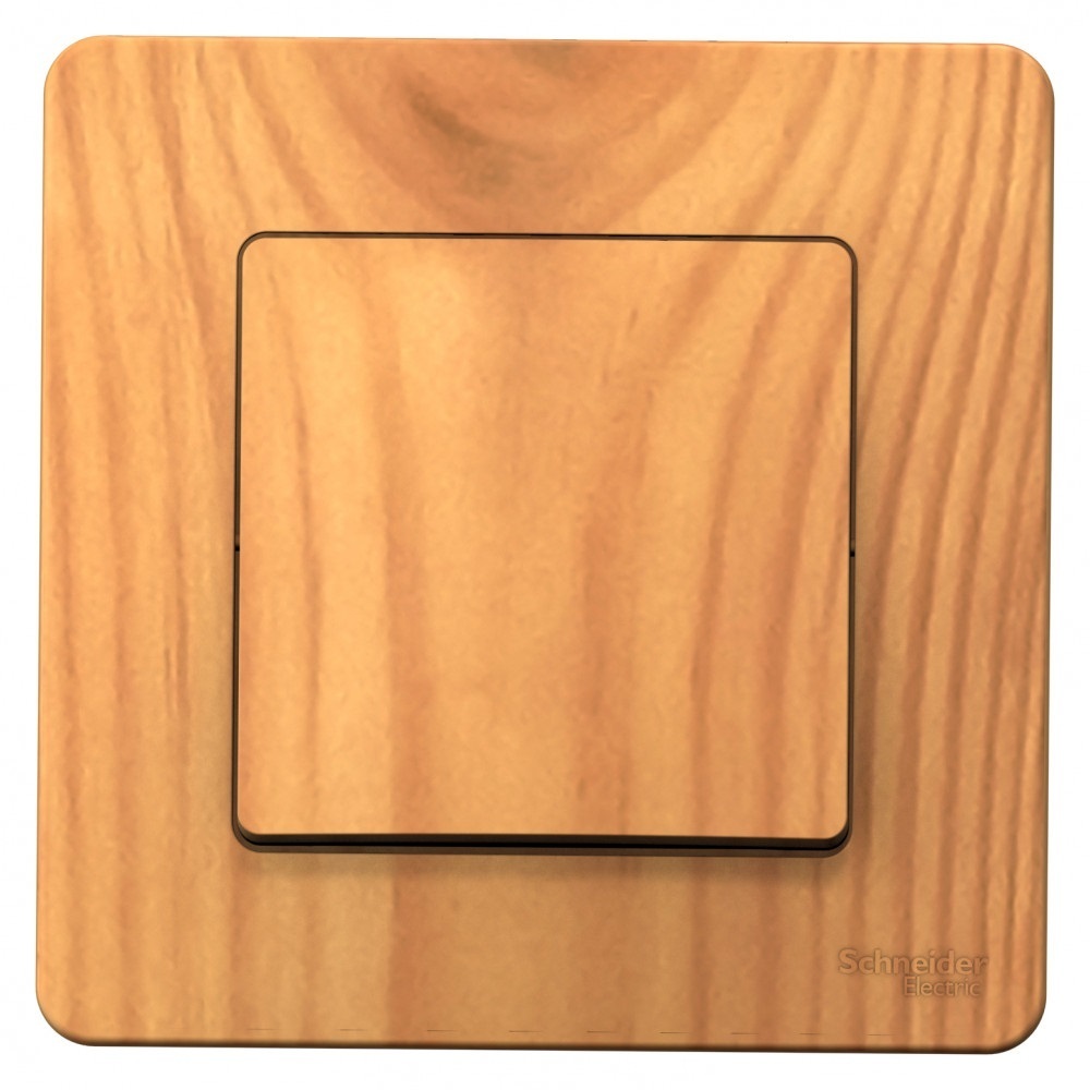 original-6609.jpg Выключатель Systeme Electric Blanca одноклавишный встраиваемый ясень (BLNVS010105) — изображение 1