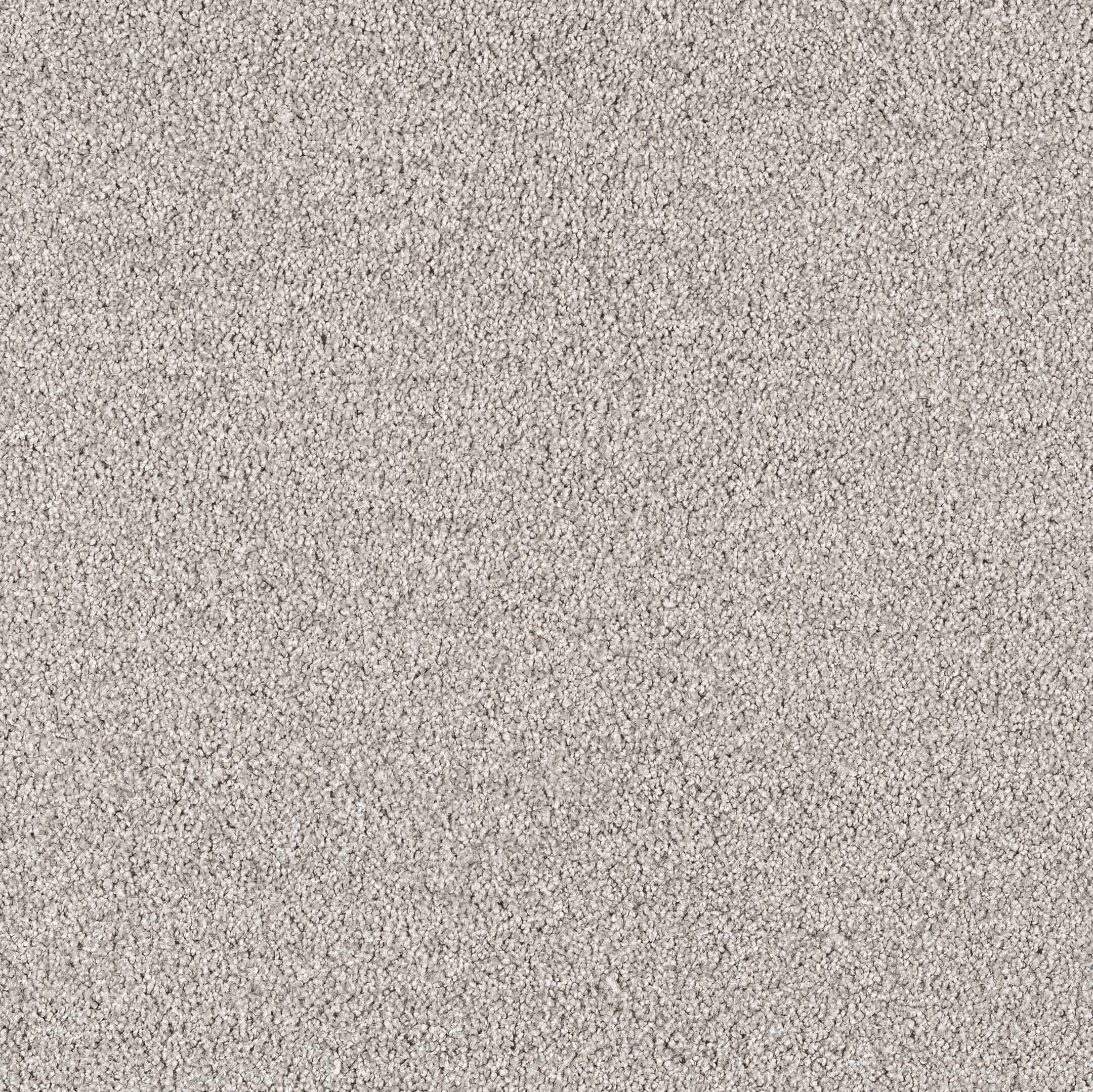original-9167.jpg Ковролин бытовой Нева Тафт Фиранди 900 светло-серый 3 м — изображение 1