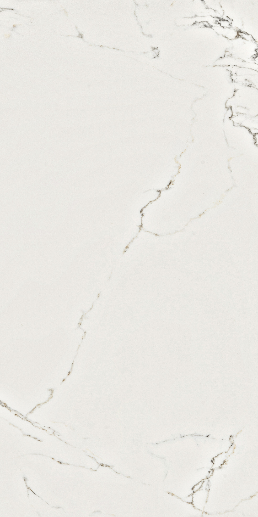 original-9322.jpg Керамогранит Lavelly Calacatta Palace белый матовый 1200х600х8,5 мм (2 шт.=1,44 кв.м) — изображение 1