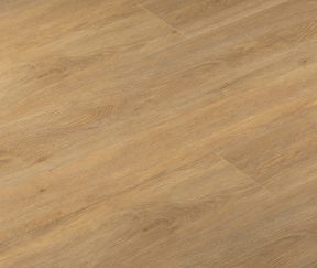 Изображение товара 1009815