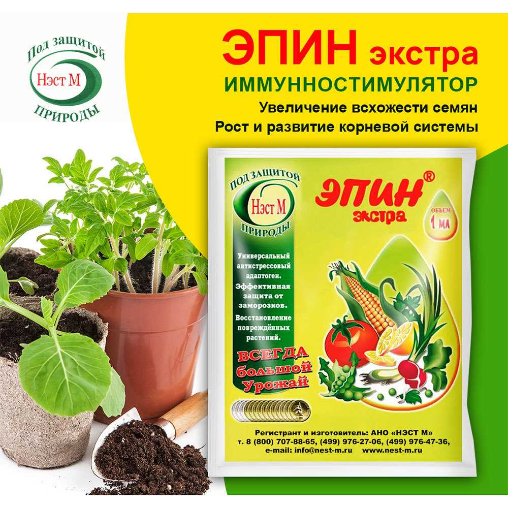 original-2922.jpg Изображение товара 985438