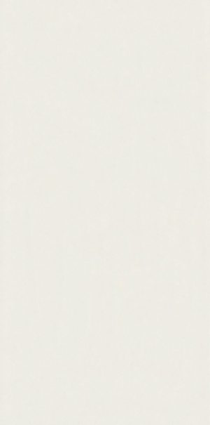 Изображение товара 1013021