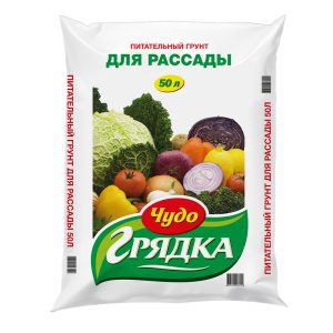 Изображение товара 1012771