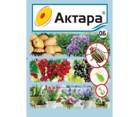 Изображение товара 1052365